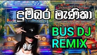 Video thumbnail of "Dumbara Manika bus dj remix 2023 | SL STUDIO"