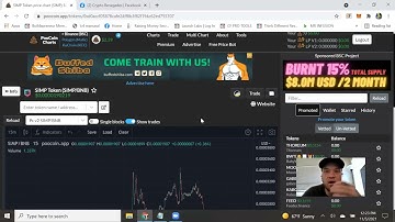How To Use PooCoin.App For ICO Trading