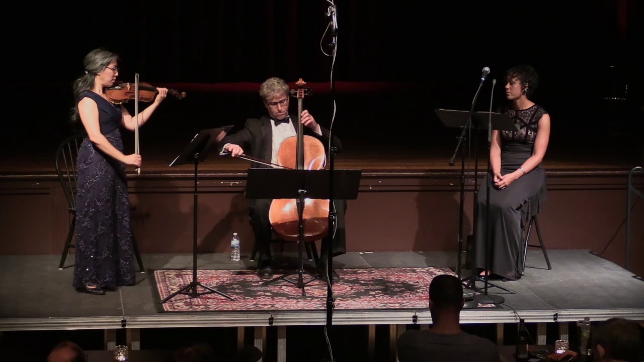 Serious Thoughts from Conversations by David Ott. Red Cedar Chamber Music