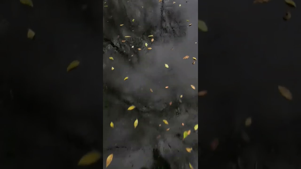 Радуюсь новому тротуару по улице Кирова в Комсомольске-на-Амуре 2022 