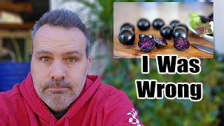 Are GMO's good? The Purple GMO Tomato by Next Level Gardening 54,658 views 2 months ago 12 minutes, 20 seconds