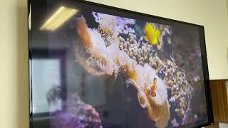Westinghouse Roku TV, 50 Inch Smart TV, 4K UHD LED TV, GREAT Roku TV   Very Crisp Image