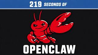 OpenClaw in 219 seconds