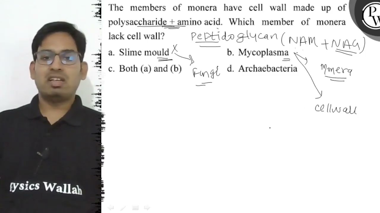 The members of monera have cell wall made up of polysaccharide ( +...