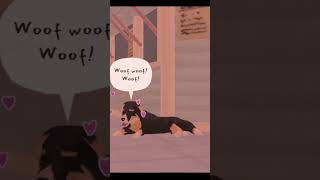 Tiny Bookshop: A Fish for a Stray Dog | #shorts #tinybookshop