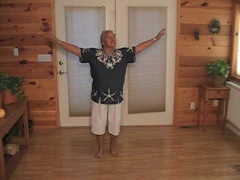 "He Mele No Lilo" Instructional Video