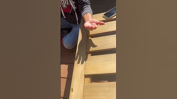 My wife got a treble hook in her hand!  Fishing hook removal!   #howtoremovefishing hook #fishing.