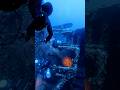 ASMR tech Vassilious T. Diving max 55m
