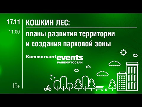 Кошкин лес: планы развития территории и создания парковой зоны