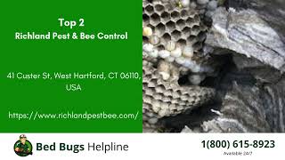 Top 3 Bed Bug Removal Companies in Farmington