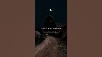 تلاوات جميلة مؤثرة مشاري راشد العفاسي 😍❤️ #مشاري_العفاسي #short