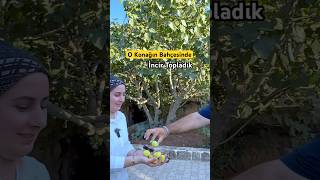 Uzak Şehir Dizisinin Simgesi Albora Konağının Avlusu