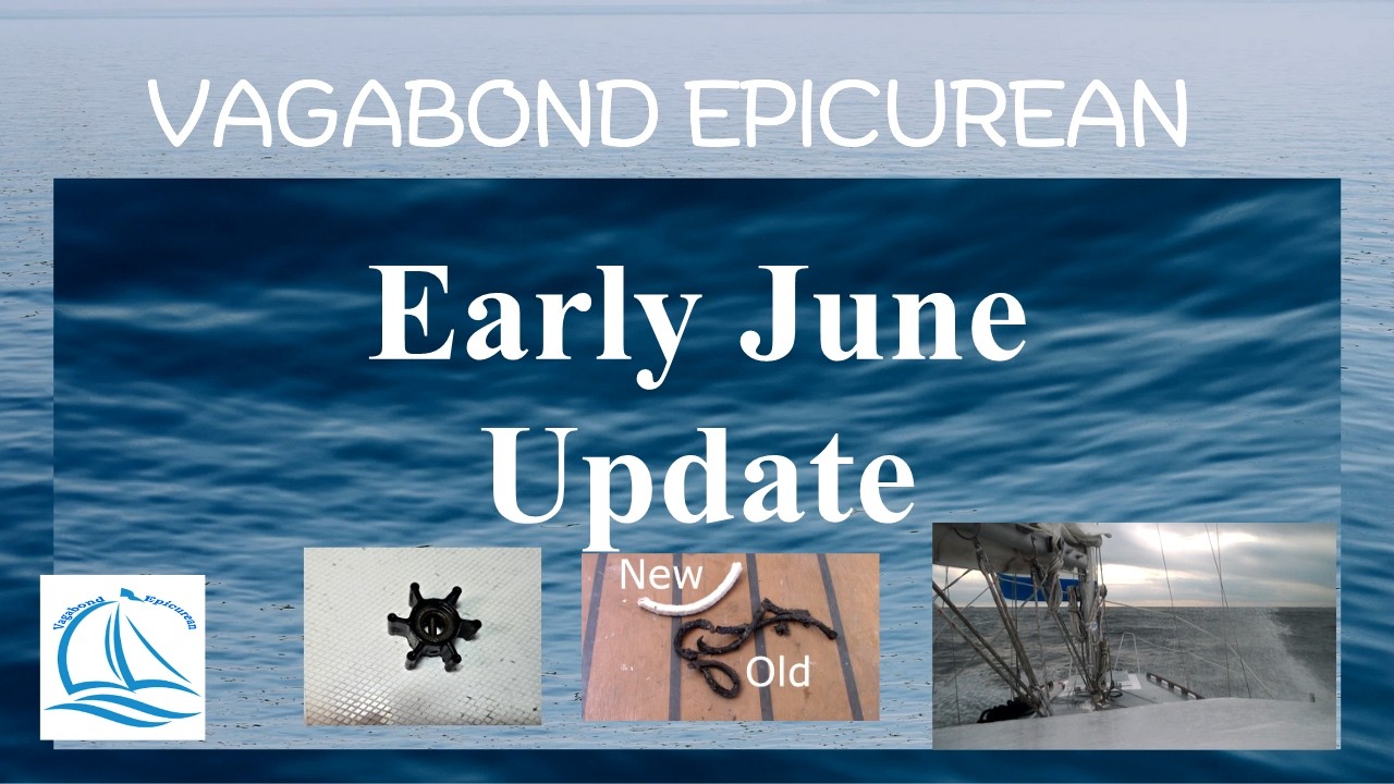 ⁣Early June Update