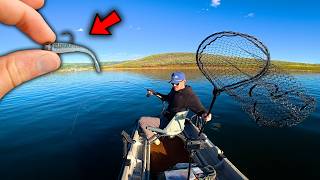 You Will Regret NOT HAVING This Ultralight Lure! (Smacking Fish)