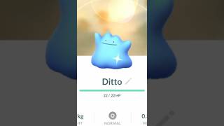 ✨Shiny Ditto CAUGHT In Pokemon Go!✨ #pokemon #shorts