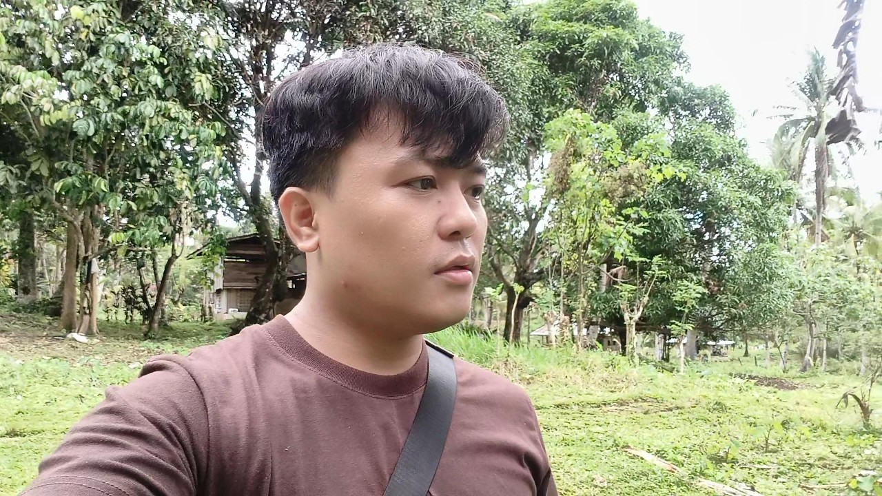 Family Mountain Trip, Snacks, and Lunch