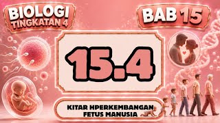 BIOLOGI TINGKATAN 4 (BAB 15) (15.4 : Perkembangan Fetus Manusia)