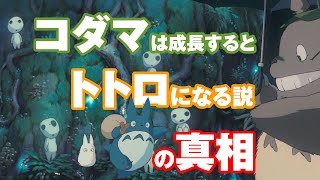 ジブリ】『もののけ姫』のコダマは育つとトトロになる【宮崎駿】 - YouTube
