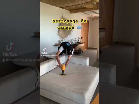 Deep Cleaning Sofa Satisfying ASMR Professional 