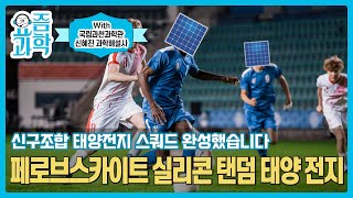 신구조합! 태양전지 스쿼드 완성했습니다!😆 페로브스카이트 실리콘 탠덤 ☀️태양 전지 | 요즘과학