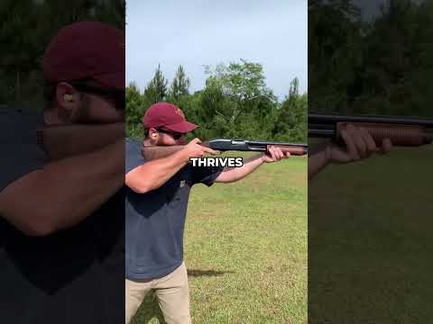 Why Do Cops Use Shotguns