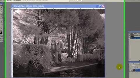 The Art of Black & White Infrared Photography Enhancement