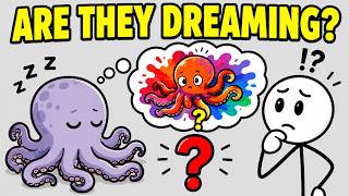 Octopuses change color while sleeping are they dreaming