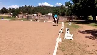 Z. Dressage Trainer Spb, Victoria, Canter Trot 8.19.17