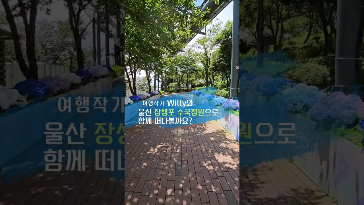 경상남도 울산 장생포 문화마을 수국정원 여행 #경남여행 #울산여행 #장생포 #수국 #수국정원