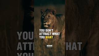 Become The Frequency - #motivation #lifelessons #growth
