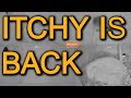 ITCHY IS BACK!!! - First Hedgehog 2021 - Recke, Germany - Mar. 31, 2021