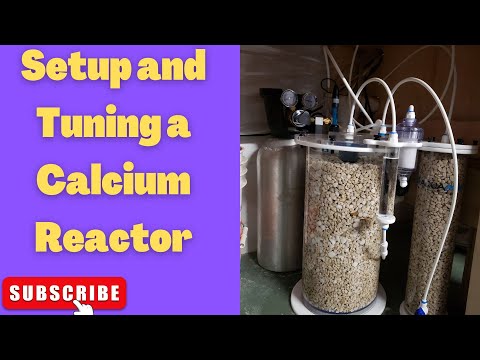 Calcium Reactor Setup