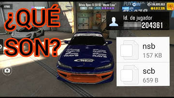 CSR2 | EXPLICACIÓN [NSB & SCB]