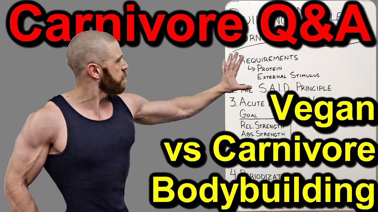 Carnivore Q&A Vegan vs Carnivore Bodybuilding The Carnivore Diet