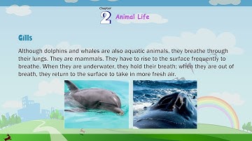 Genius Gems Books Science Class 5 Chapter 2