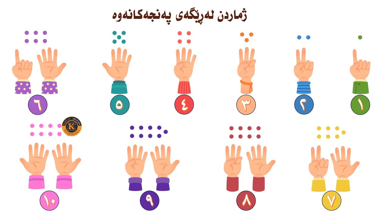 کۆکردنەوەی ژمارەکان لەڕێگەی پەنجەکانەوە      بیرکاری پۆلی یەکەمی بنەڕەتی