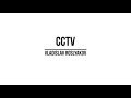 Vladislav Roslyakov - CCTV