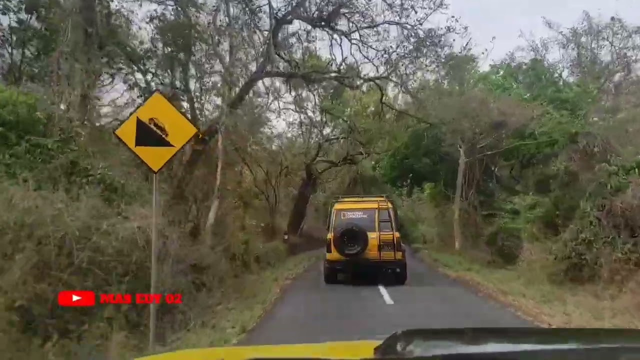 Di ujung Jawa aku menemukan Afrika#masedy02