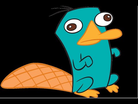 Disneys Phineas And Ferb Perry The Platypus Theme Song Roblox Music Video - 