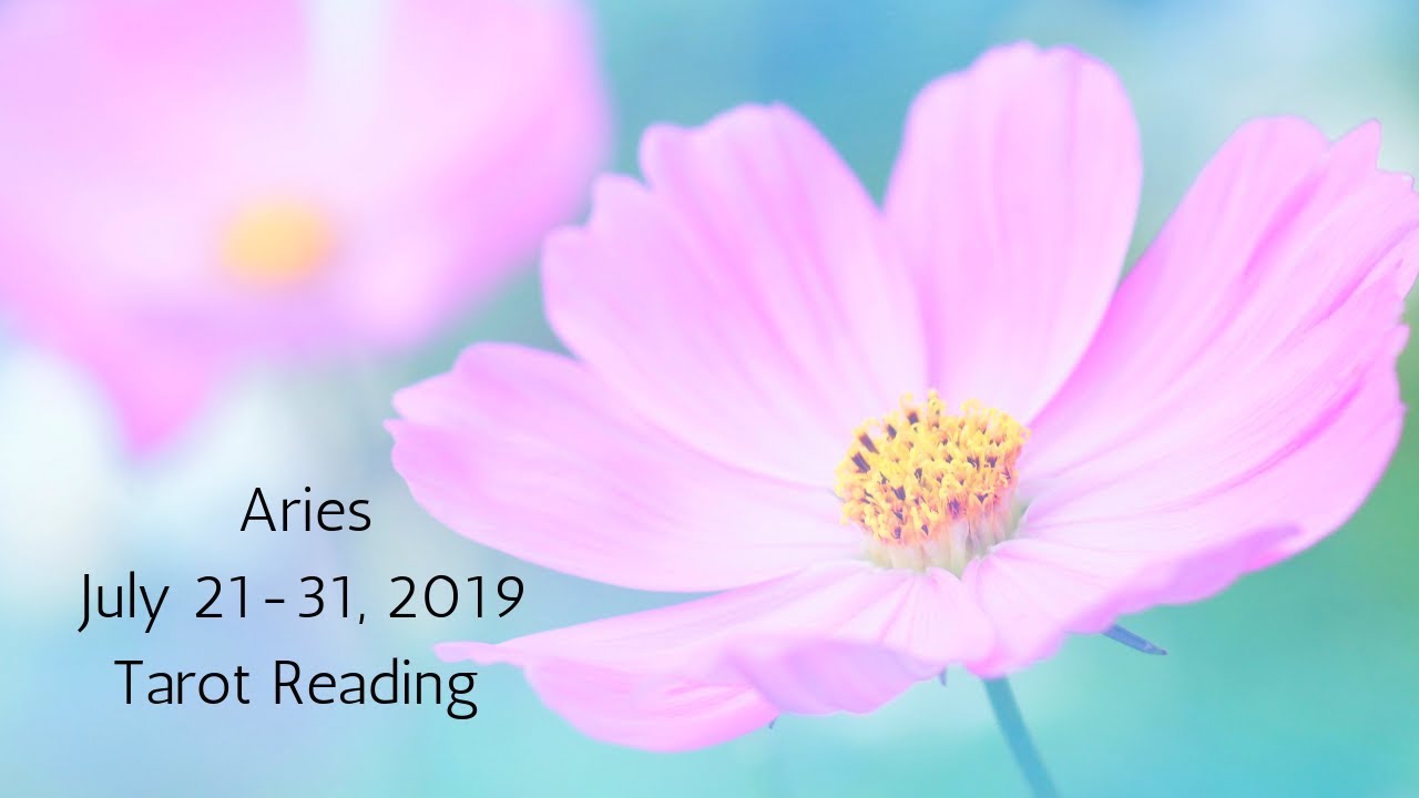 aries weekly tarot february 21 2020