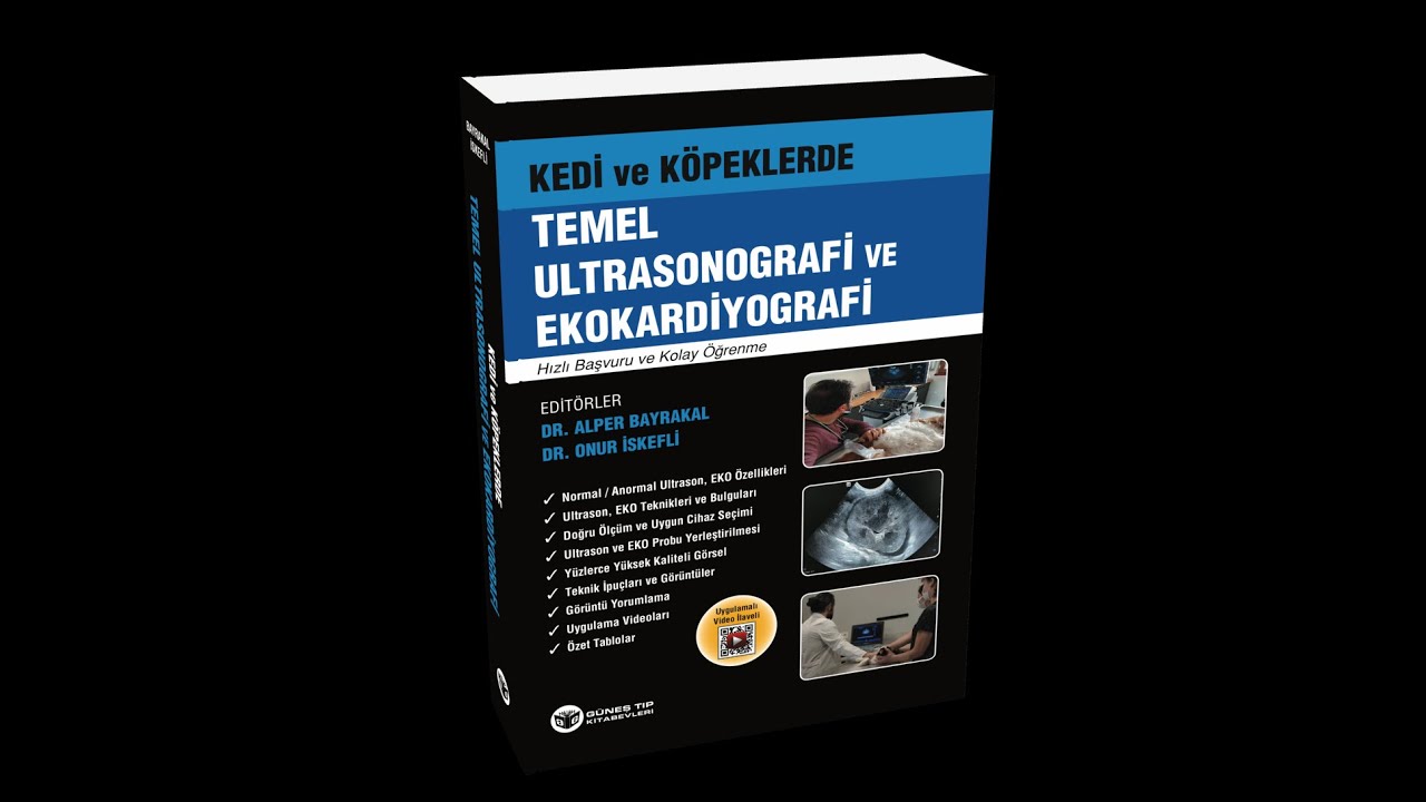 Kedilerde Pankreas Ultrasonografisi – Uzm. Veteriner Hekim Özge ŞAHİN