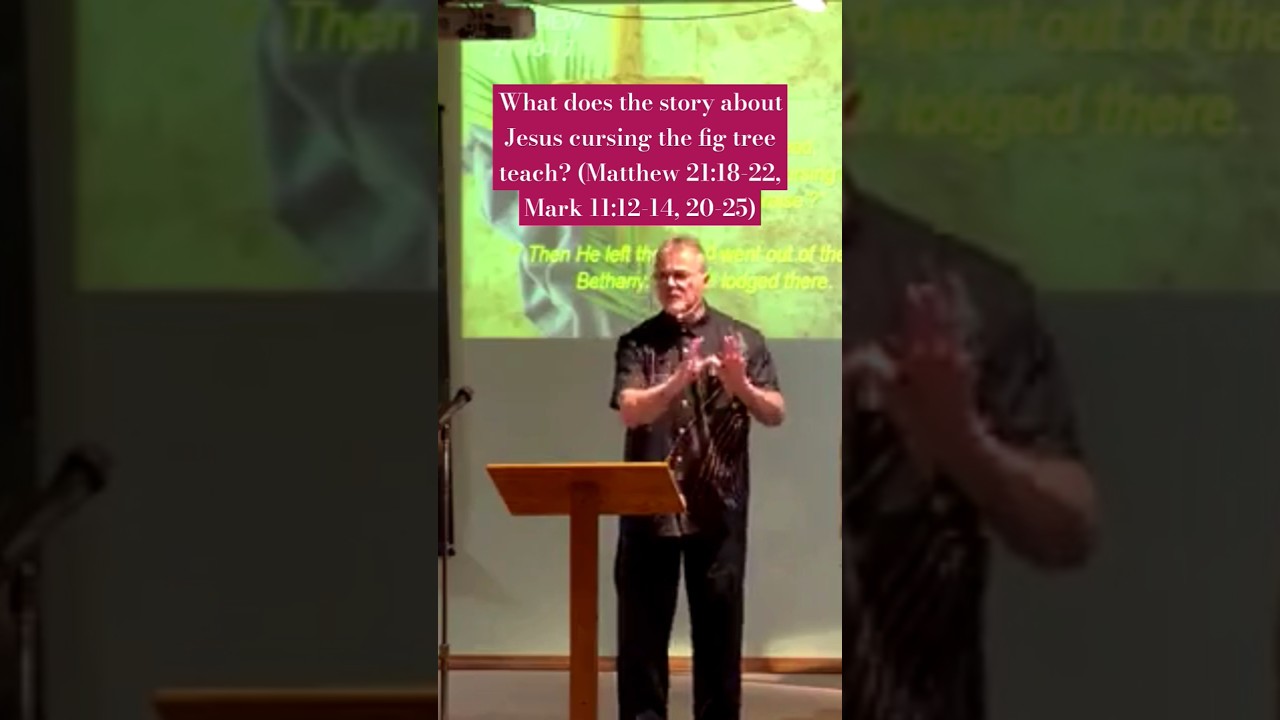 What Does The Story About Jesus Cursing The Fig Tree Teach Matthew 21 What Does The Story About Jesus Cursing The Fig Tree Teach Matthew 21