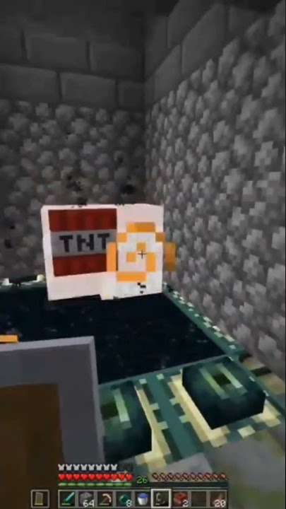 Acestoaces memory lane - Minecraft Manhunt Montage #shorts