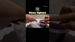 031 Straw Siphons #science #experiment #scienceathome #siphon #fypシ #reels #scienceforkids #agham