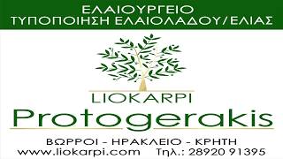Liokarpi 2019 Short