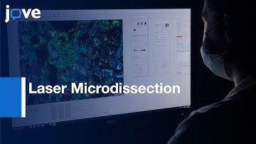 Laser Microdissection To Uncover Regional Transcriptomics: Human Kidney Tissue l Protocol Preview
