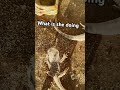 December 20, 2024