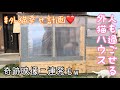 外猫ハウスに窓を設置したら最高の室温になりました。