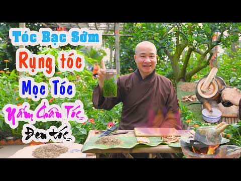 Hiệu Quả: Đen Tóc, Rụng Tóc, Tóc Bạc Sớm, Mọc Tóc, Nấm Chân Tóc, Tóc Mượt Mà. Chùa Pháp Tạng 2021