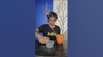 Artificial Flowers Hack😱 #fyp #diy #lifehacks #experiment